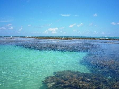 Flats Vista Mar E Frente Mar Na Praia Dos Carneiros Εξωτερικό φωτογραφία